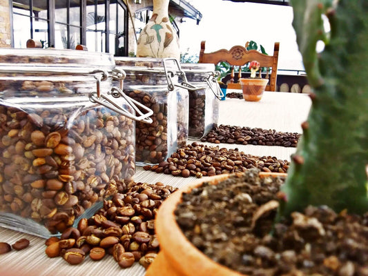 Fincafés, un Café de Spécialité !